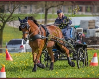 1POSIEUX 0375